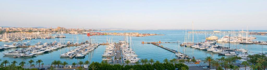 Hotel Victoria Gran Meliá - Resim 39