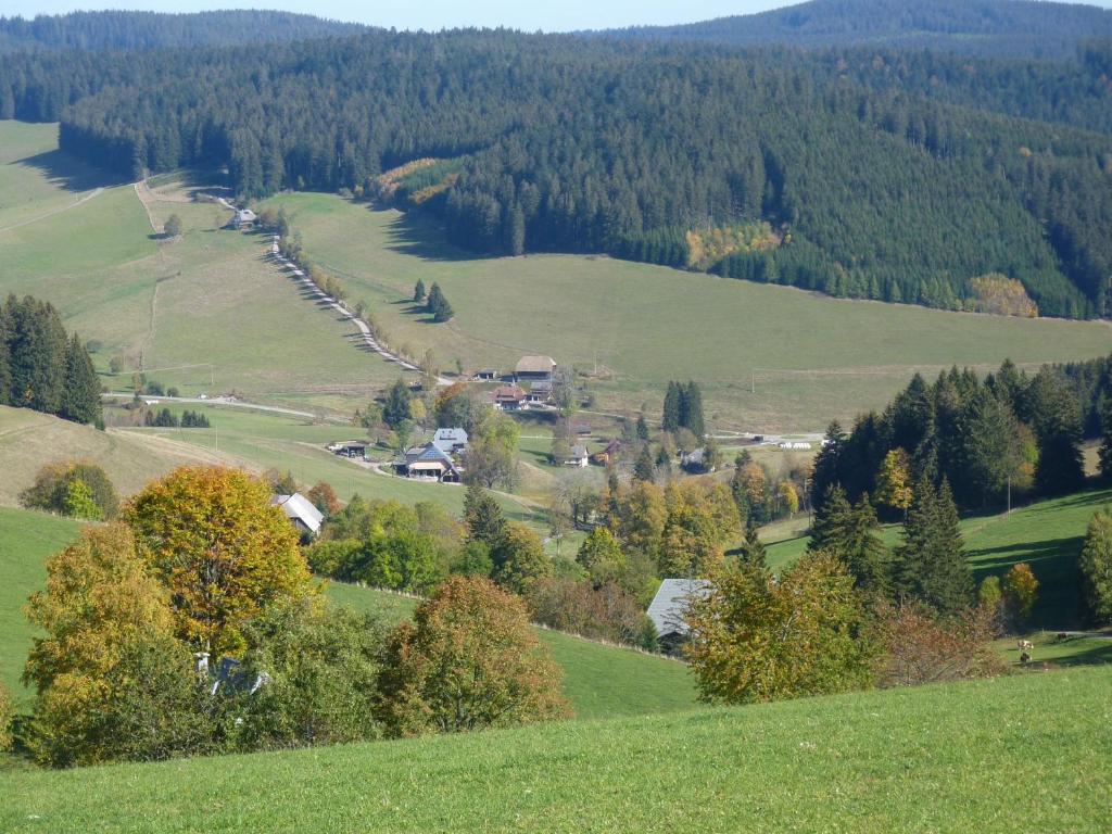 Příroda nedaleko farmy