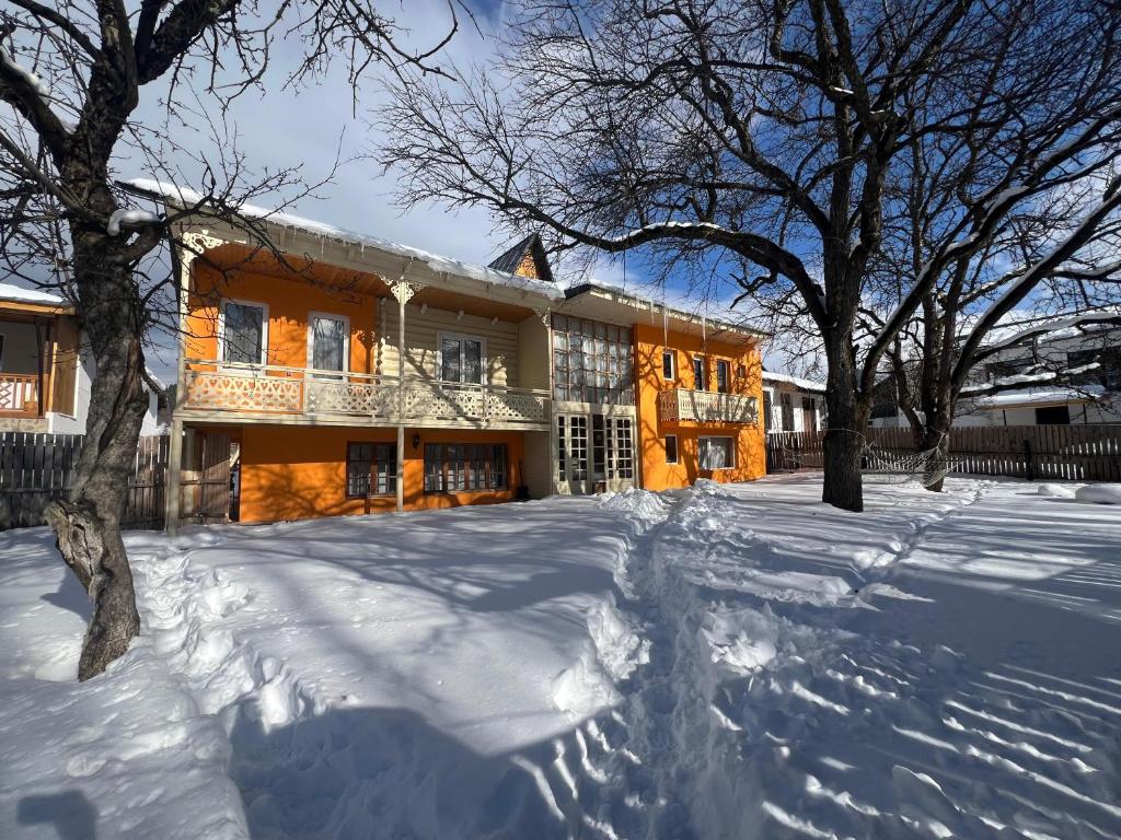 Art Villa Bakuriani зимой