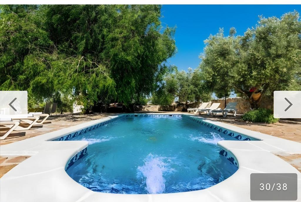 a swimming pool in a yard with trees at Cortijo Rica in Seco de Lucena
