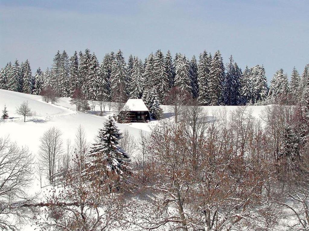 Ferienhütte Biobetrieb Lippenhof v zimě