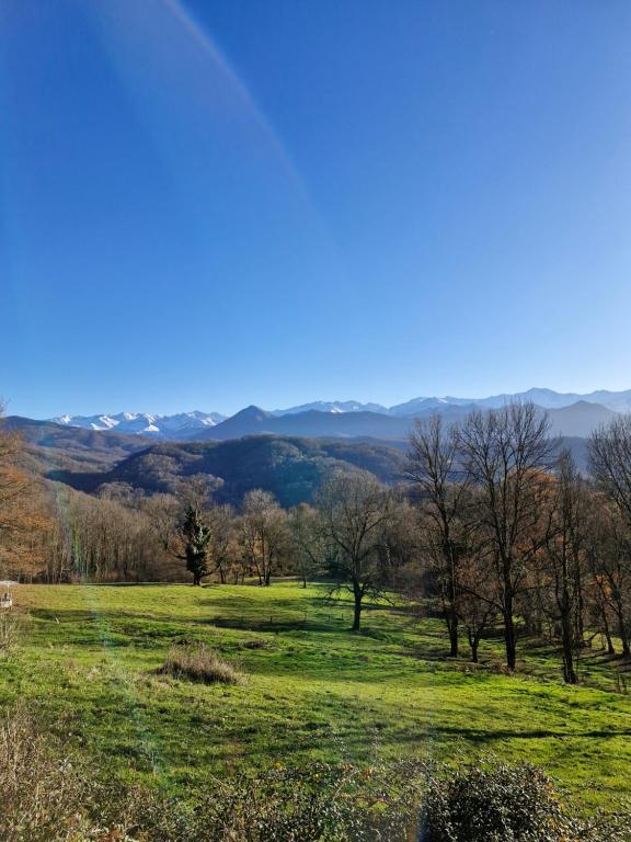 a green field with trees and mountains in the background at CHAMBRE INDEPENDANTE au calme en moyenne montagne in Soulan