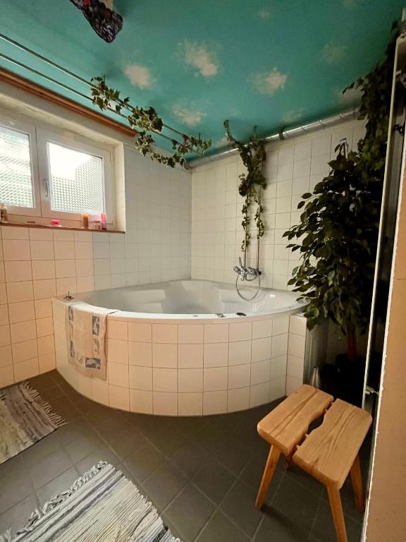 Me Gustas Tu - Séparée - Resim 24