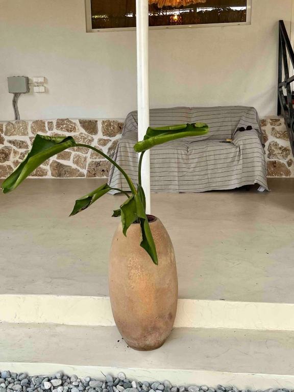 Fotografie z fotogalerie ubytování Ancient Pydna Paradise v destinaci Makrigialos