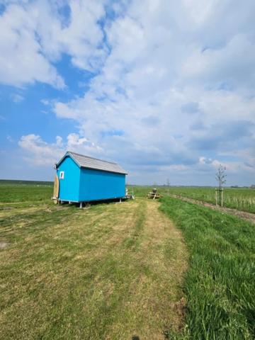 a blue building in the middle of a field at Surf Shack in Scharendijke