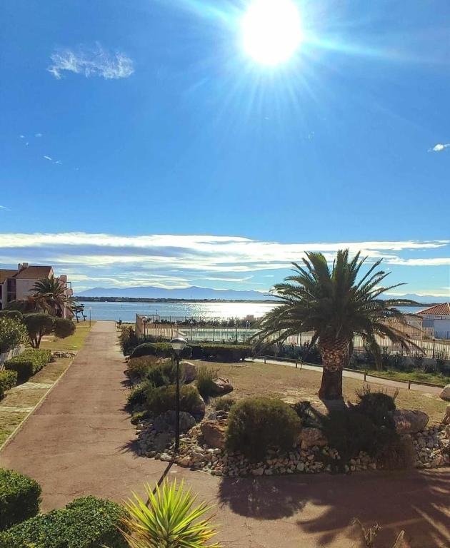 un palmier dans un parc avec le soleil dans le ciel dans l'établissement Cap Coudalère entre lac et mer, au Barcarès