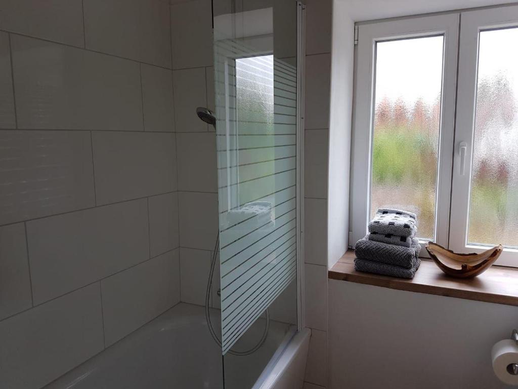 a bathroom with a glass shower and a window at Haus-Selma in Lüneburg