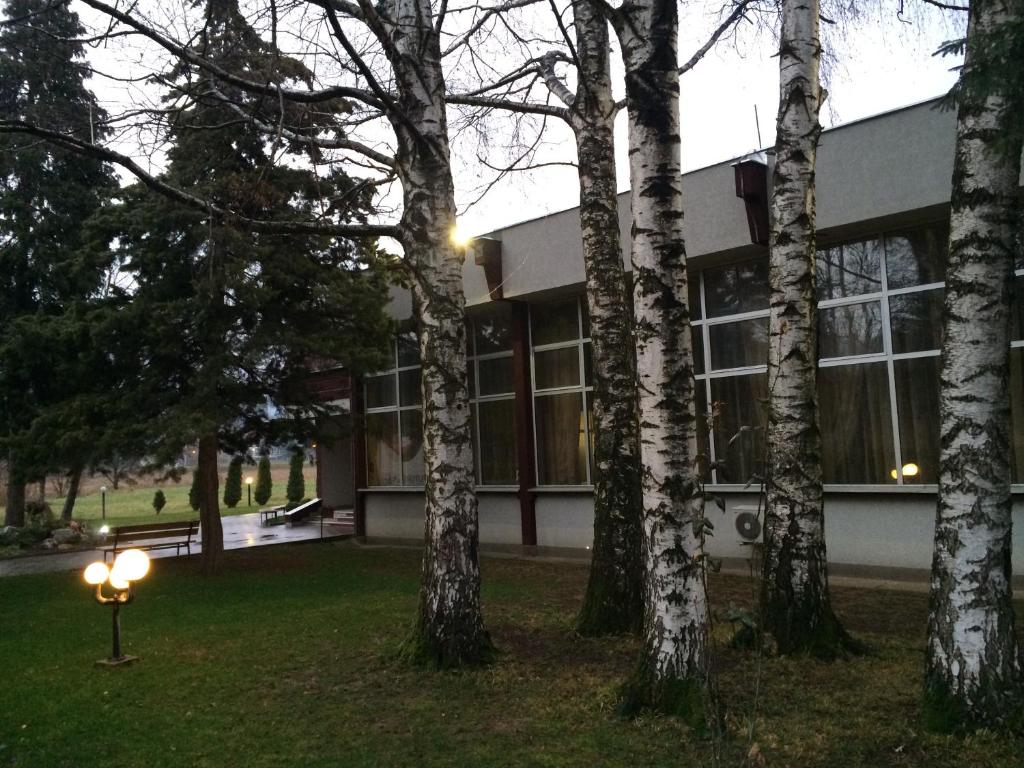 Zahrada ubytování Prenociste Gazela