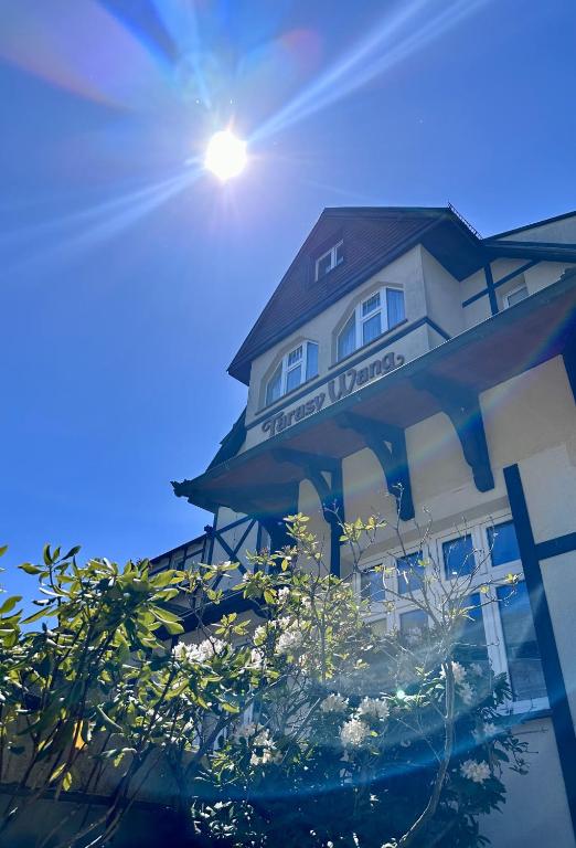 Looking up at timber-trimmed building facade with sunburst above and flowering shrubs in foreground.