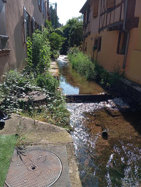 Příroda nedaleko apartmánu