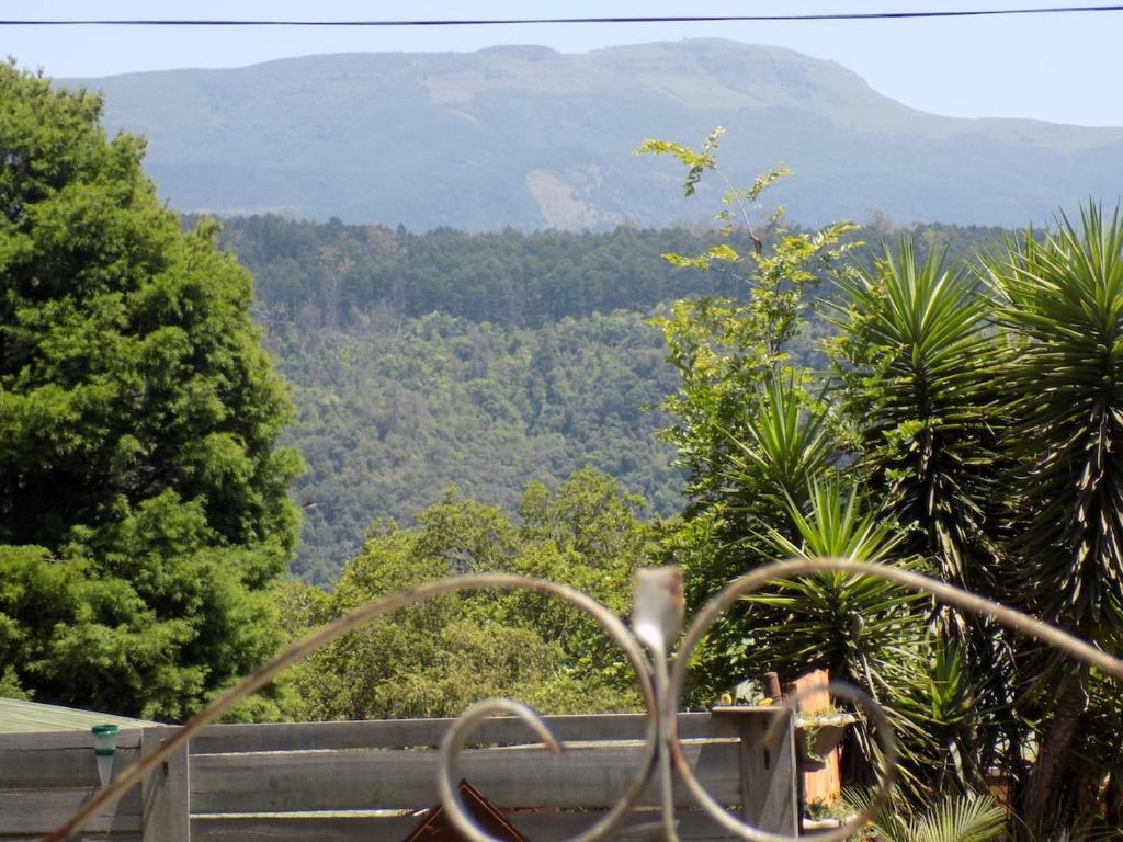 Naturlandskabet i nærheden af lejligheden