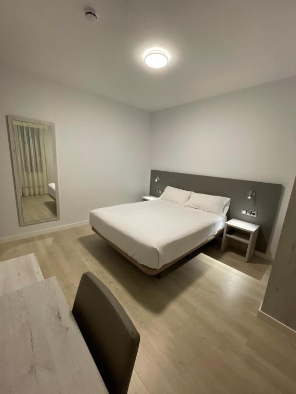 Postel nebo postele na pokoji v ubytování Hostal Pirineos Ainsa