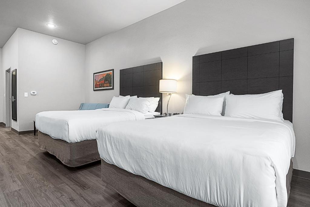 Riverstone Suites by Cobblestone Hotels - Chippewa Falls - Monolocale Queen - Accesso Per Disabili