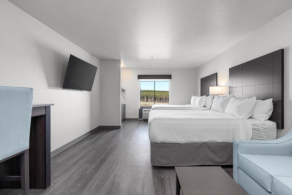 Riverstone Suites by Cobblestone Hotels - Chippewa Falls - Estudio Deluxe Con Cama Grande