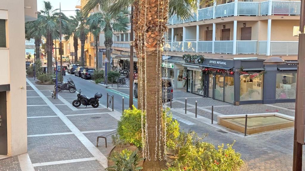 un palmier au milieu d'une rue de la ville dans l'établissement Suffren E28, à Sainte-Maxime