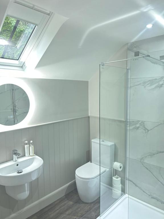 a bathroom with a toilet and a sink and a shower at Aldernaig Mill in Invergarry