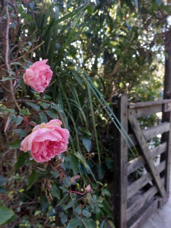 Casa con jardín y parrillero en El Tesoro La Barra