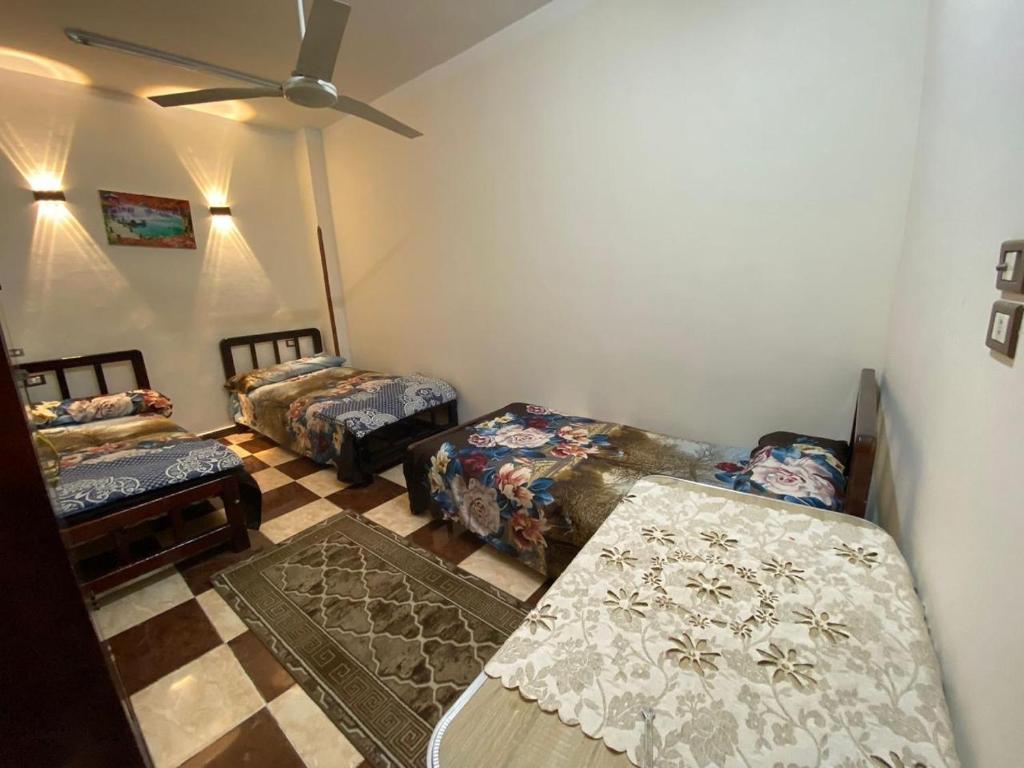 Fotografie z fotogalerie ubytování Nancy home v destinaci Luxor