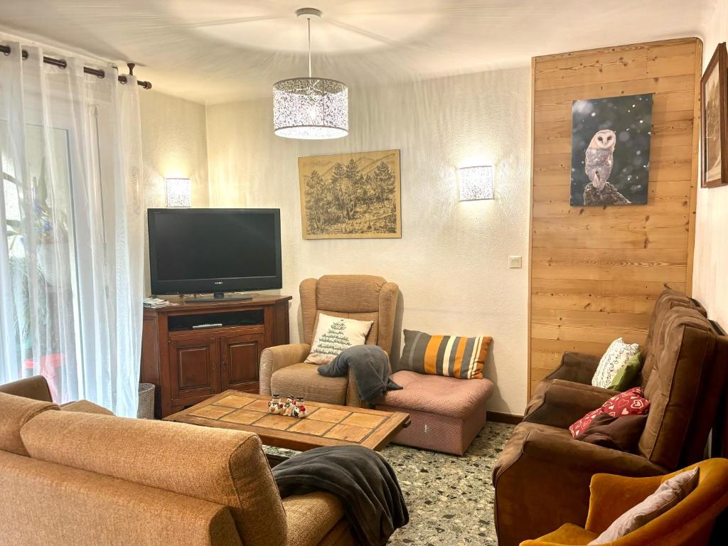 Televízia a/alebo spoločenská miestnosť v ubytovaní L'AIGLON appartement