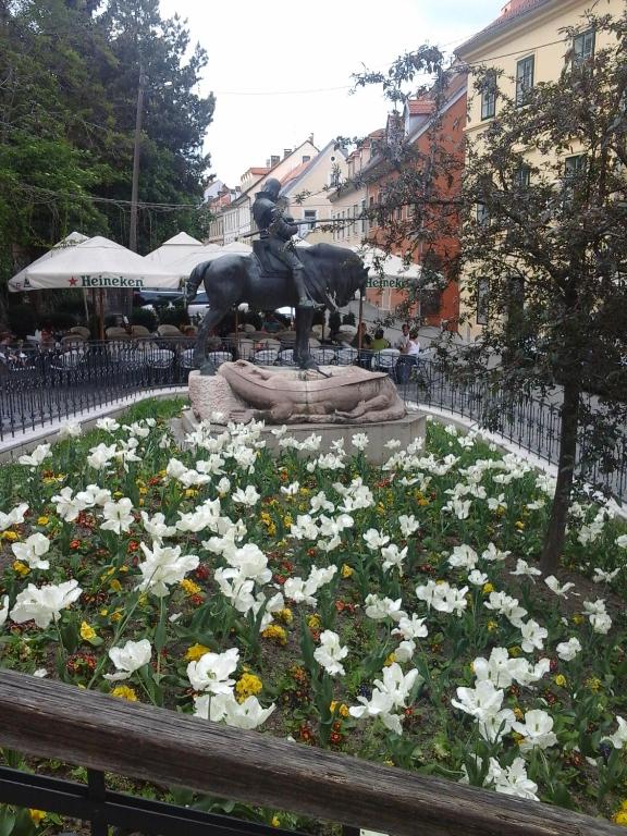 Apartments Radićeva - 1