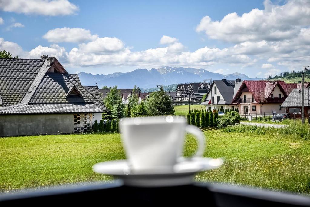 Cicha Woda 300 m od Gorący Potok i Termy Szaflary - 17