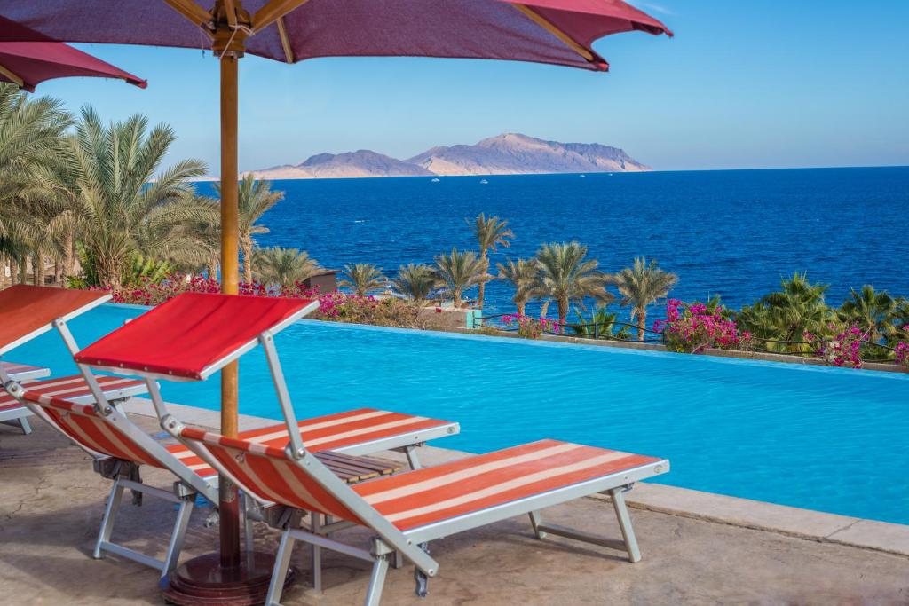 Bazén v ubytování Grand Rotana Resort & Spa nebo v jeho okolí