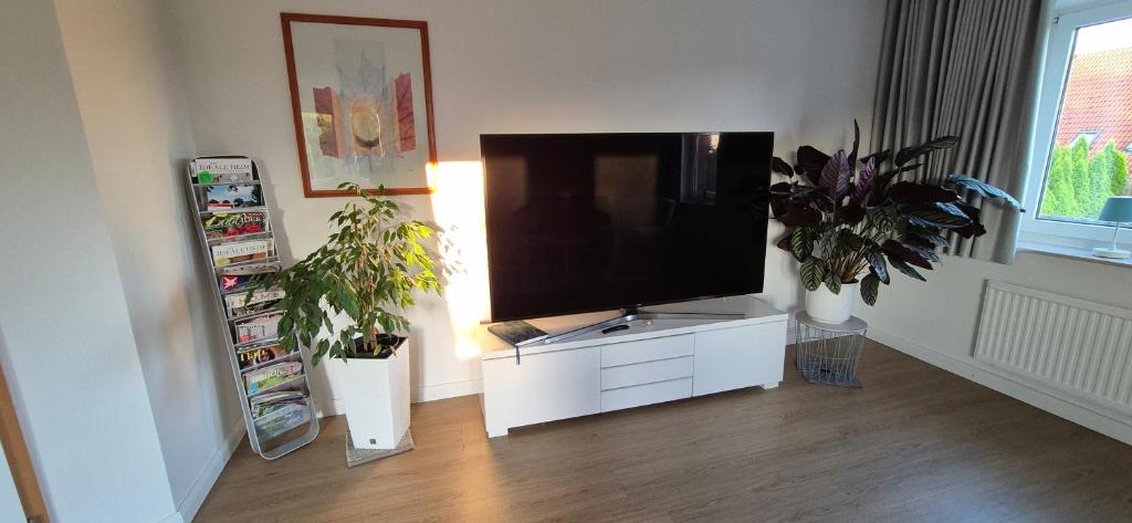 TV a/nebo společenská místnost v ubytování FeWo-Veronika-Apen