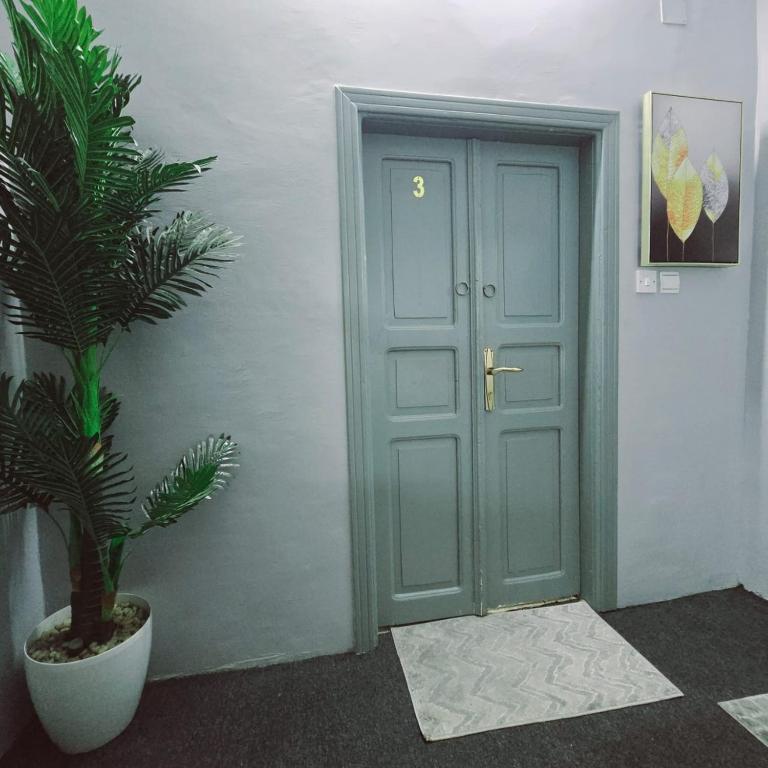 a hallway with a door and a potted plant at ركن دار الطائف in Taif