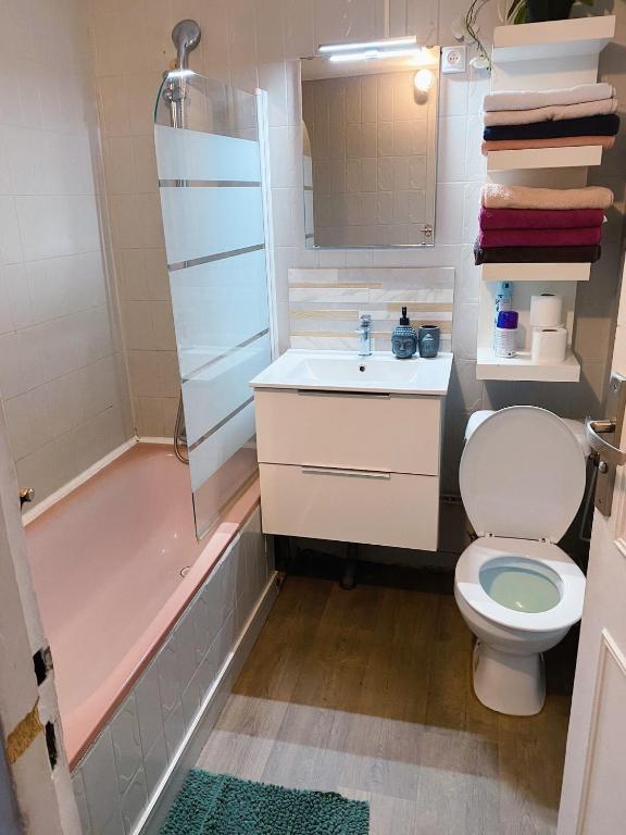une salle de bain avec toilettes, lavabo et douche dans l'établissement Appartement confort idéal visite Paris, à Ivry-sur-Seine