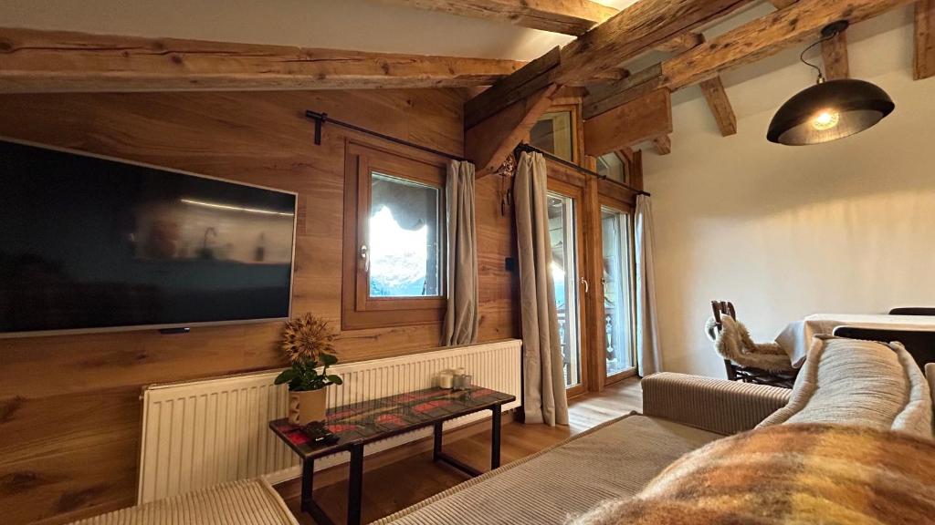 TV a/nebo společenská místnost v ubytování Appartement cosy avec vue