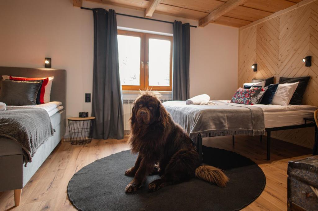 Posteľ alebo postele v izbe v ubytovaní Apartament Stryszek Alpinistyczny