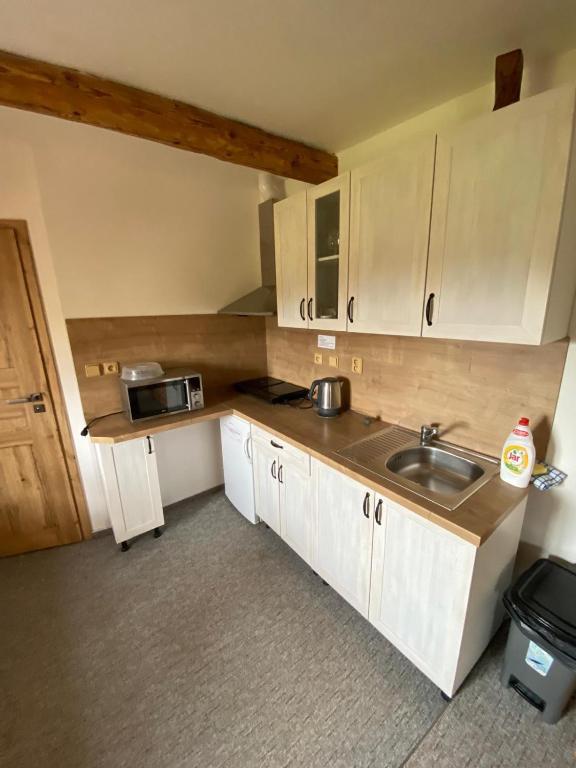 Apartmán na statku Červený Kostelec - 7