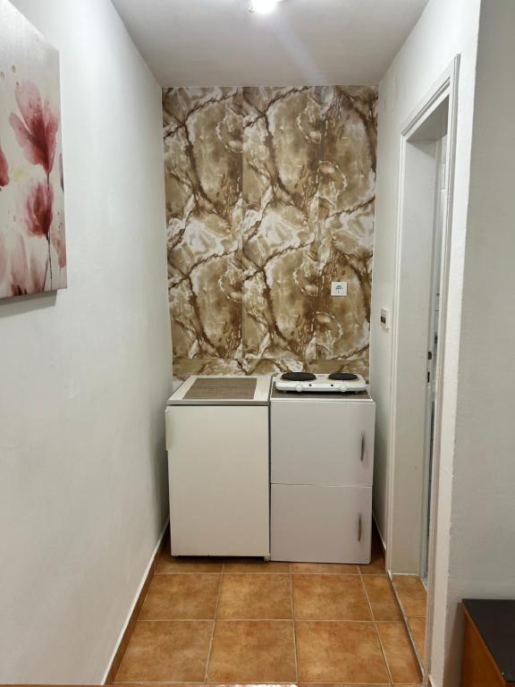 Kuchyň nebo kuchyňský kout v ubytování Apartments Jankovic