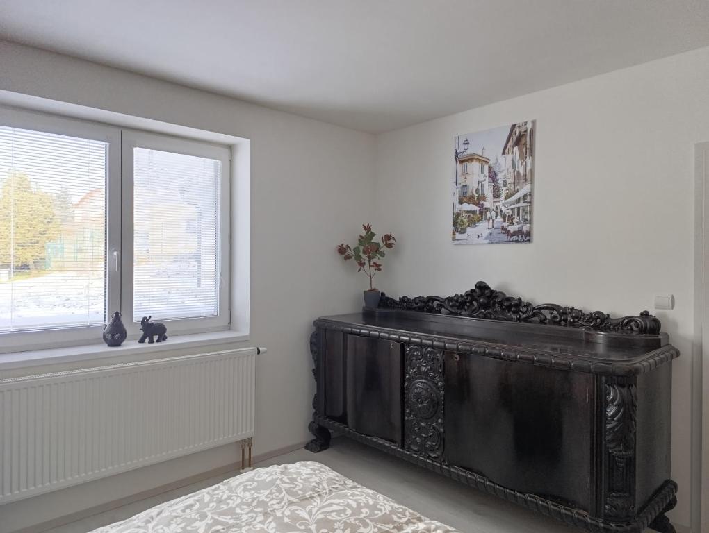 Fotografie z fotogalerie ubytování apartmán Fénix v destinaci Buková
