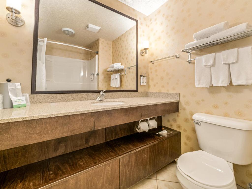 Koupelna v ubytování Holiday Inn Lethbridge by IHG