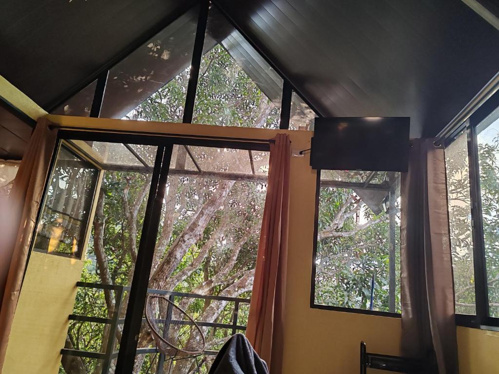 a room with two windows with trees outside at Villa Los Colibrí 11 in Agua Blanca