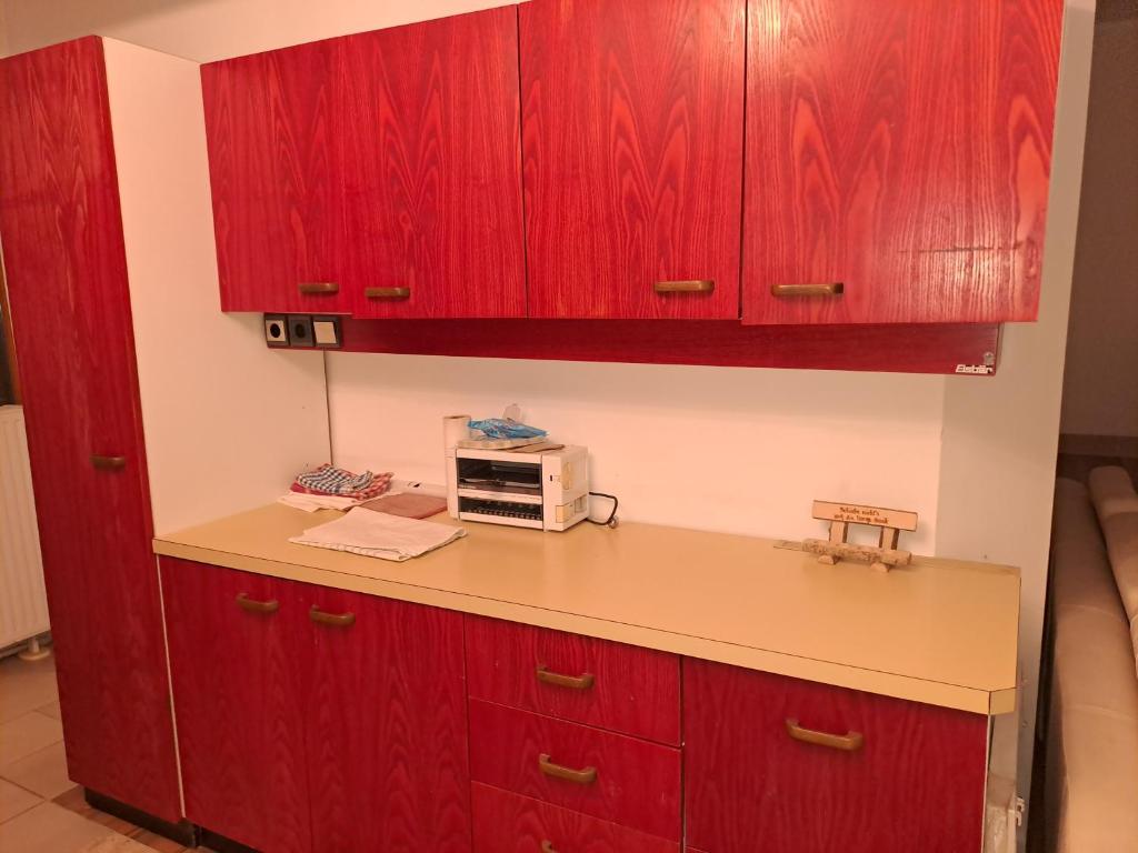 Cucina o angolo cottura di Lillys Appartement 3 in 3430 Tulln