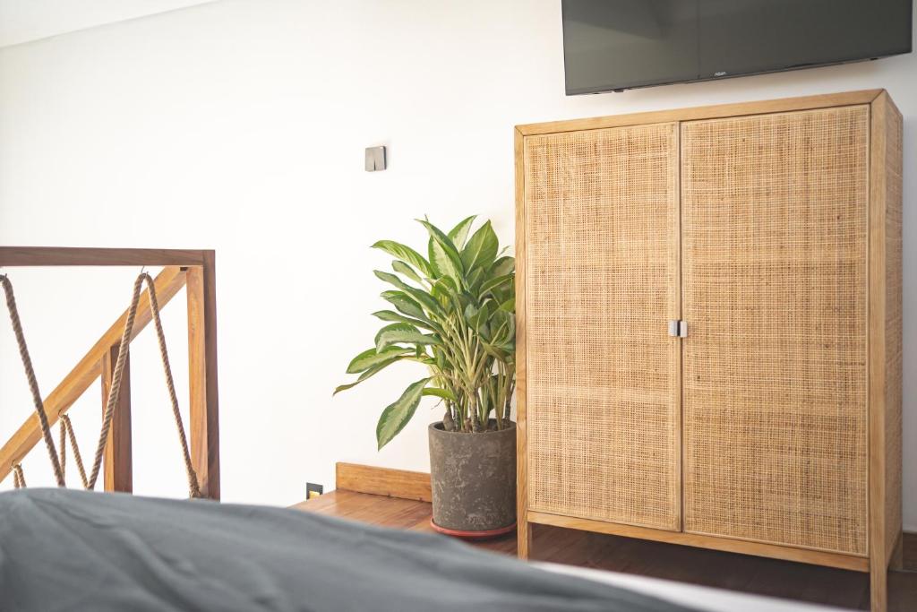 CARI Surf Camp & Studio's - 14