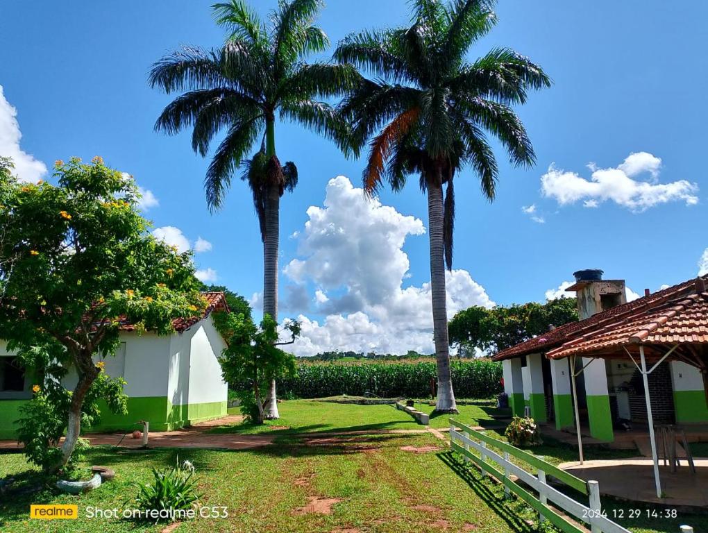 dos palmeras en un patio junto a una casa en Pousada Bela Vista, en São José da Barra