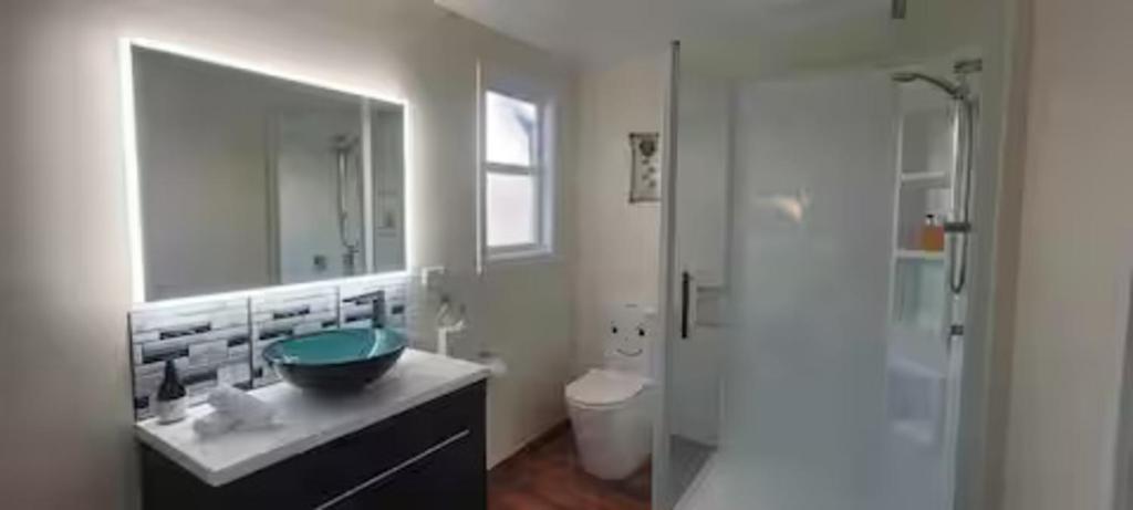 a bathroom with a sink and a shower and a toilet at Glacier house in Fox Glacier