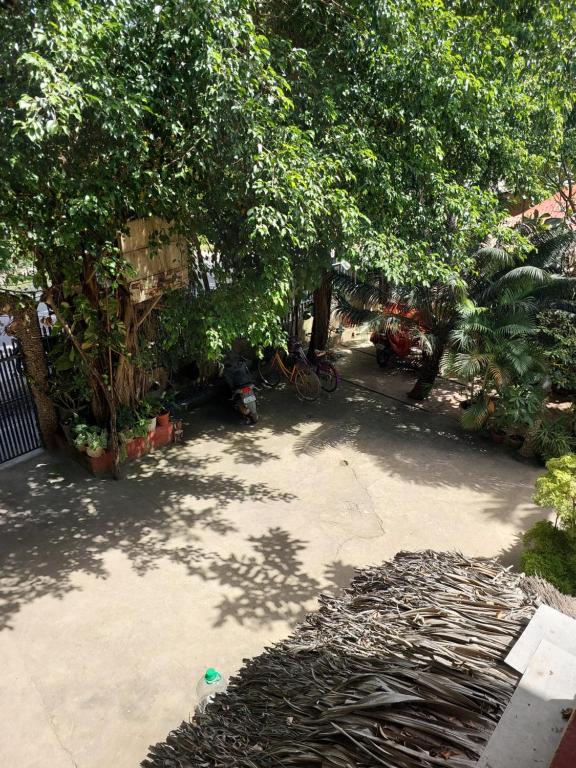 Un jardín fuera de Stevrena Accommodations