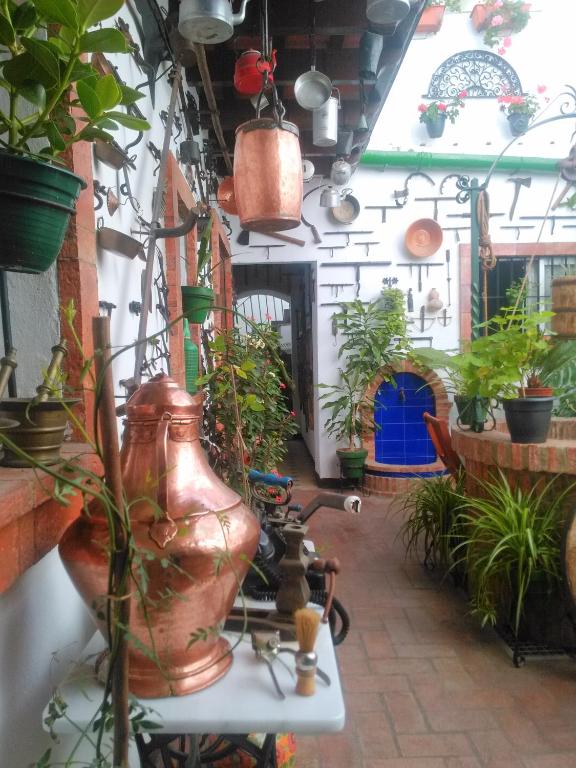 Fotografie z fotogalerie ubytování Casa Museo Jerez Centro v destinaci Jerez de la Frontera