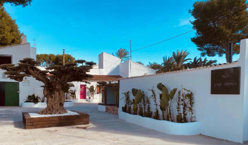 ein Baum vor einem weißen Gebäude in der Unterkunft La Casa Rosa de Finca Doña Carmen in Santomera