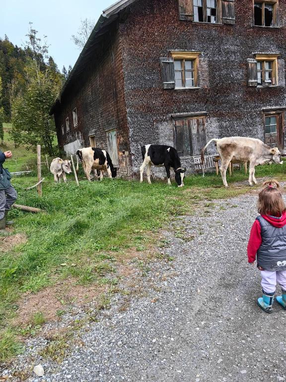 Děti v ubytování Vögelhof