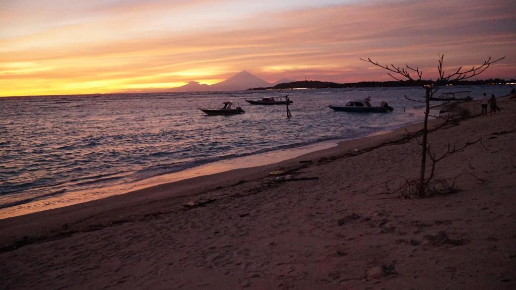 a group of boats on the beach at sunset at Mola2 Resort Gili Air in Gili Islands