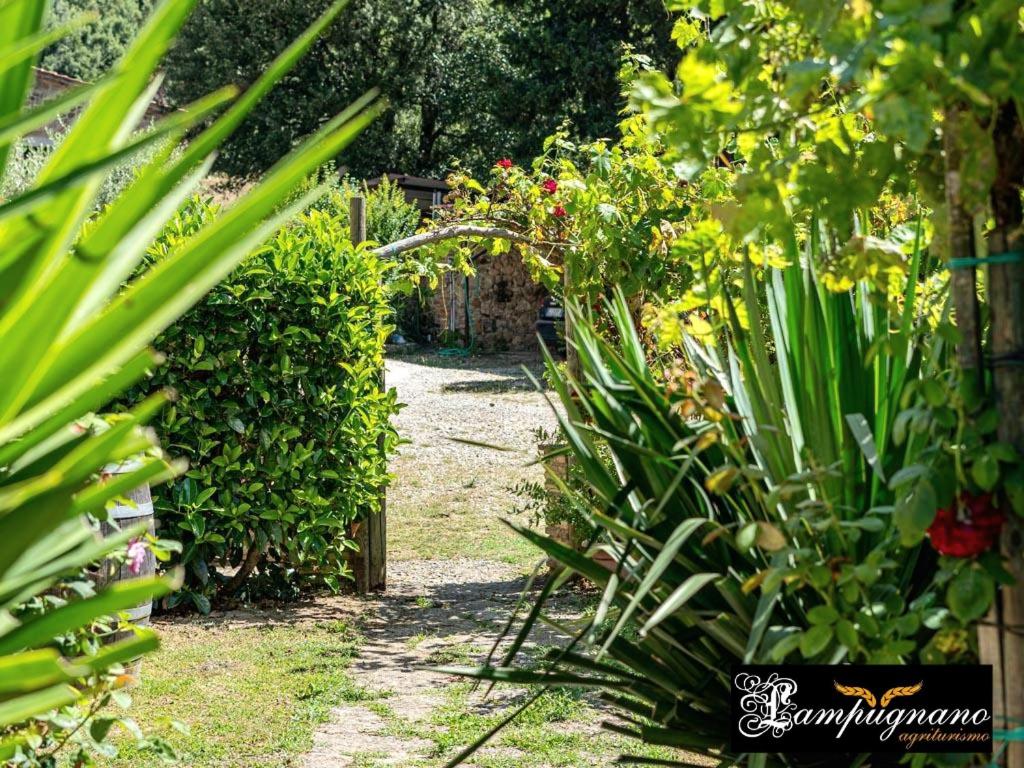 Zahrada ubytování Agriturismo Lampugnano