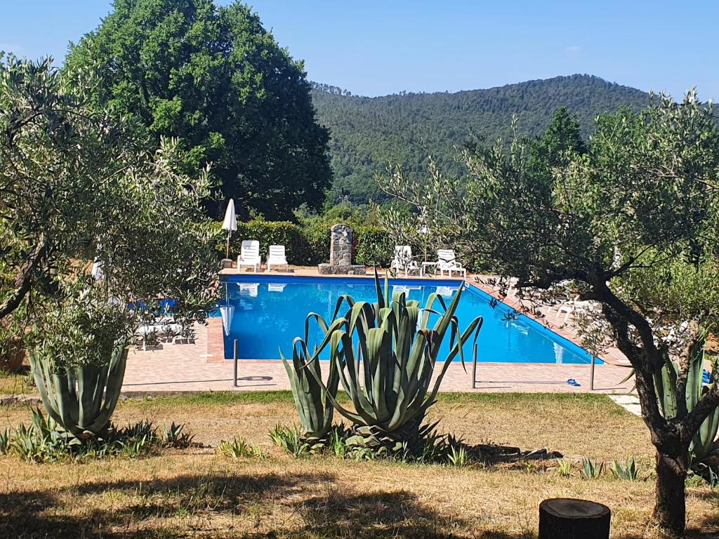 Bazén v ubytování Agriturismo Lampugnano nebo v jeho okolí