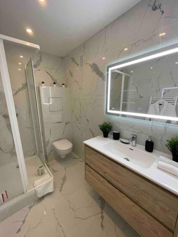 une salle de bain avec un lavabo, une douche et des toilettes dans l'établissement 4 Bedroom Apartment - Near docks and metro, à Rouen