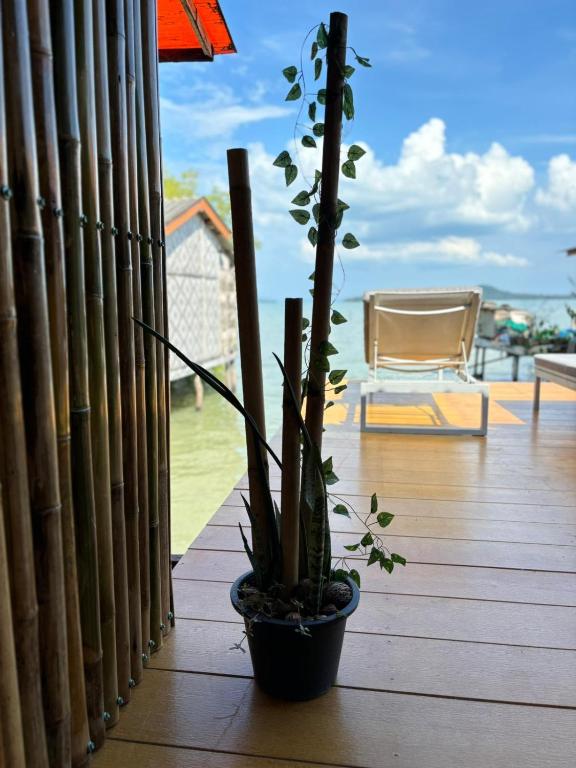 a plant in a pot sitting on a wooden deck at Star house old town lanta in Ko Lanta