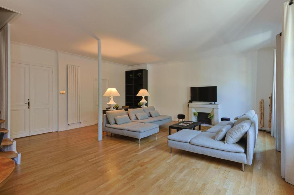 a living room with two couches and a fireplace at Le Patio de l'Isle in Périgueux